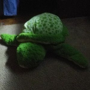 A turtle